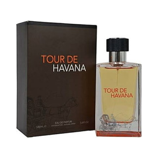 عطر ادکلن مردانه تق هرمس شرکتی فراگرنس ورد اورجینال Tour De Havana حجم 100 میل